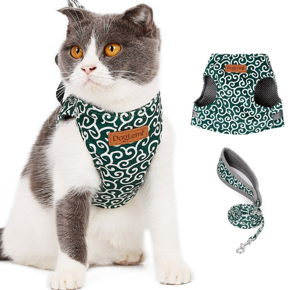 Cat vest harness