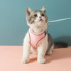 Cat Harness Leash Set