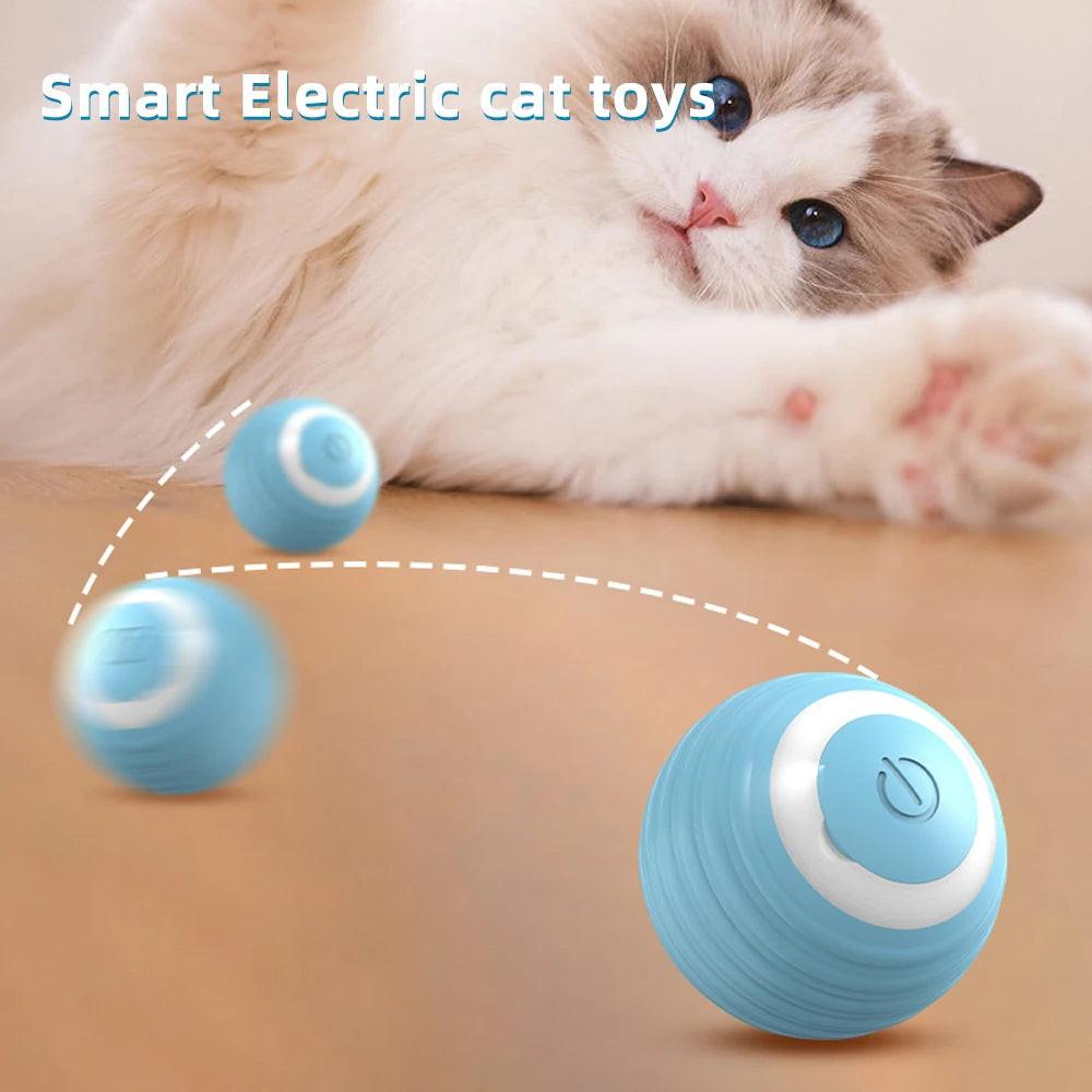 Electric Cat Ball